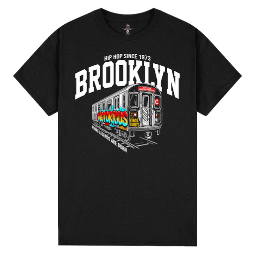 Birth of Hip Hop Brooklyn T Shirt (7 Sizes)