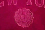 Embroidered Harvard Style New York Hoodie | NYC Hoodie (3 Colors)